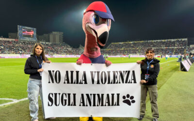 “No alla violenza sugli animali”: il Cagliari Calcio al fianco dell’Associazione Fierogatto